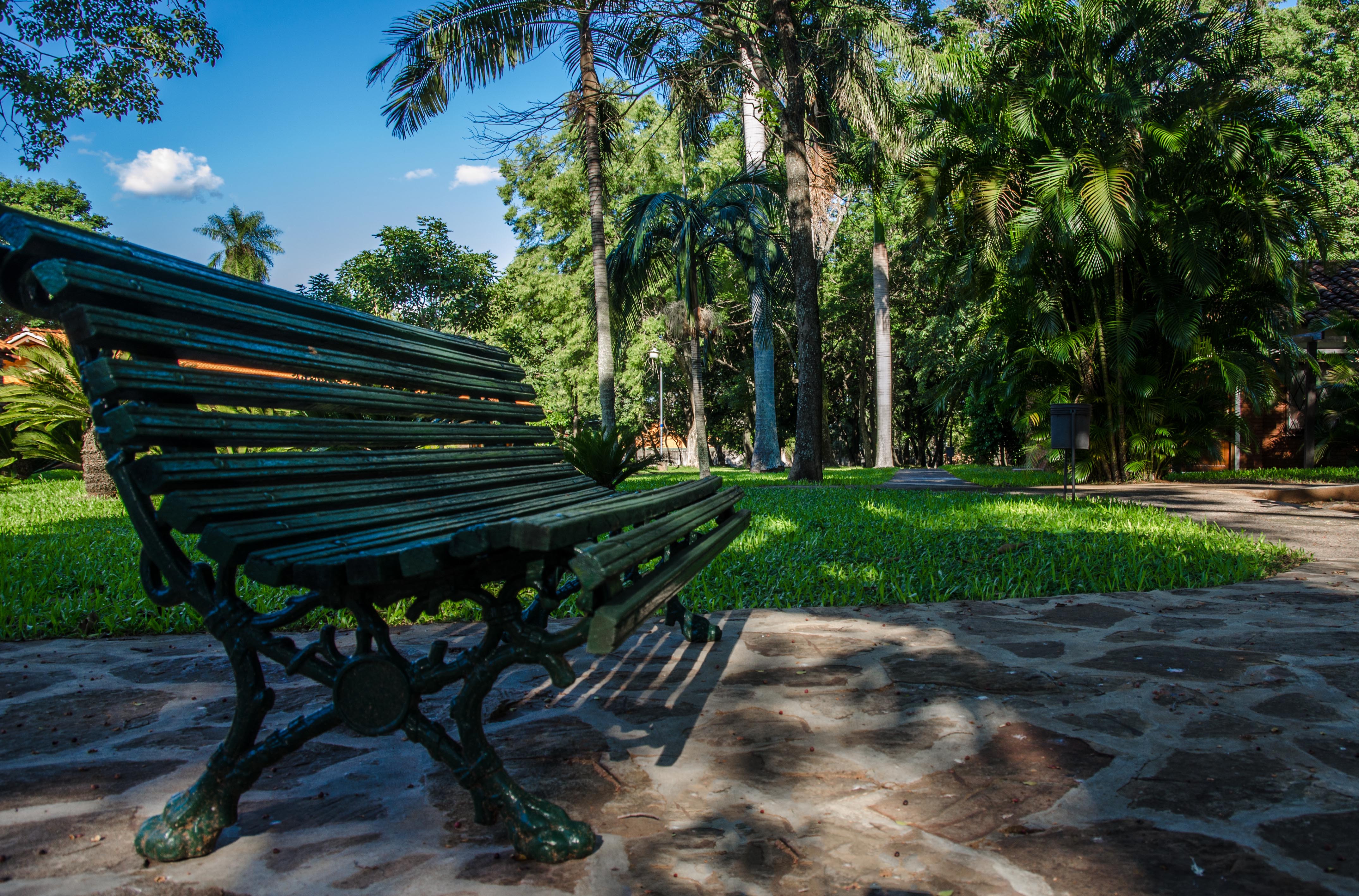 Árboles y camino interno
