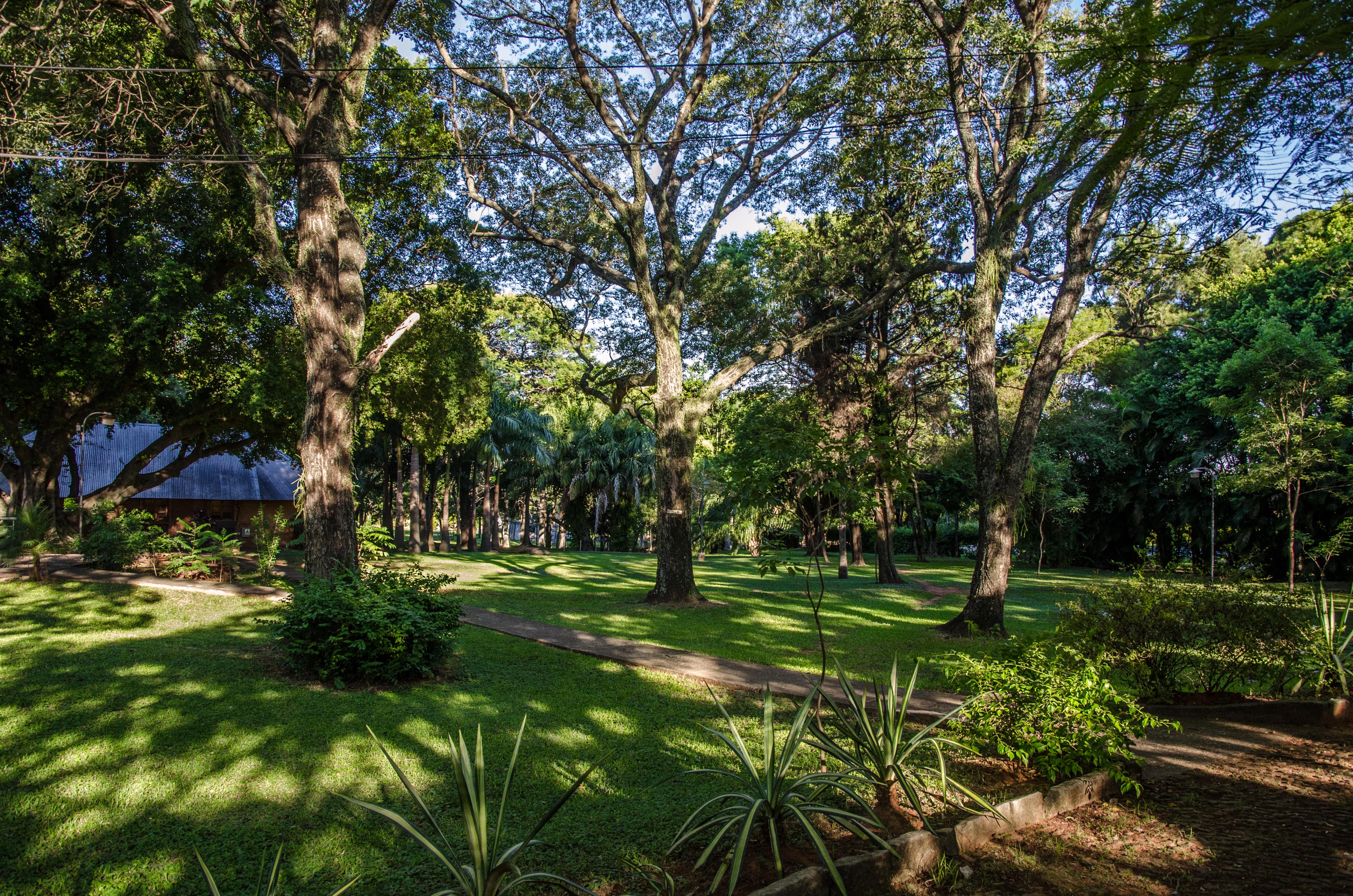Vista general de la naturaleza en Quinta Ykua Sati